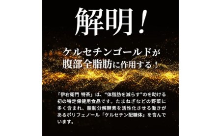 お茶 定期便 2ヶ月 特茶 500ml 24本 お茶