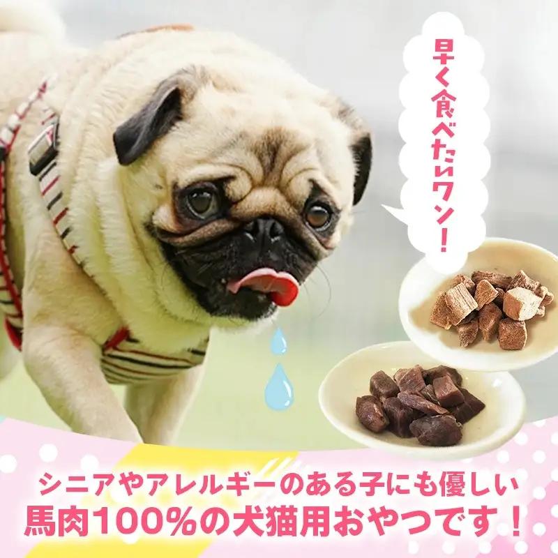 【定期便2回】 馬肉100％ 犬猫用おやつ 25g×3袋 - フリーズドライ ペット 健康 おやつ