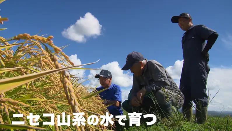 【新米予約】令和8年産 定期便 6ヵ月連続お届け ゆめぴりか＆ななつぼし 食べ比べ 各5kg 計10㎏ 精米 北海道 共和町 共和町米生産友の会 ※沖縄・離島への配送不可【2026年11月以降順次発送