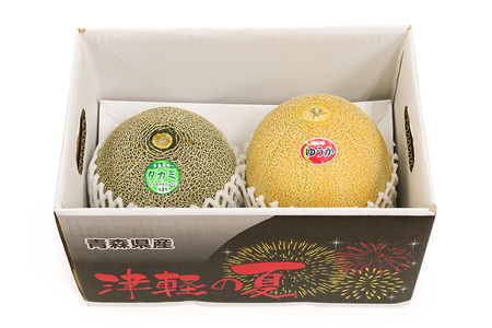 メロン [タカミ] [ユウカ] 2玉セット｜つがる市産 青森産 産直 2026年産 令和8年 夏 めろん 果物 フルーツ 旬 特産 藤農園 農福連携 先行受付 [0837]