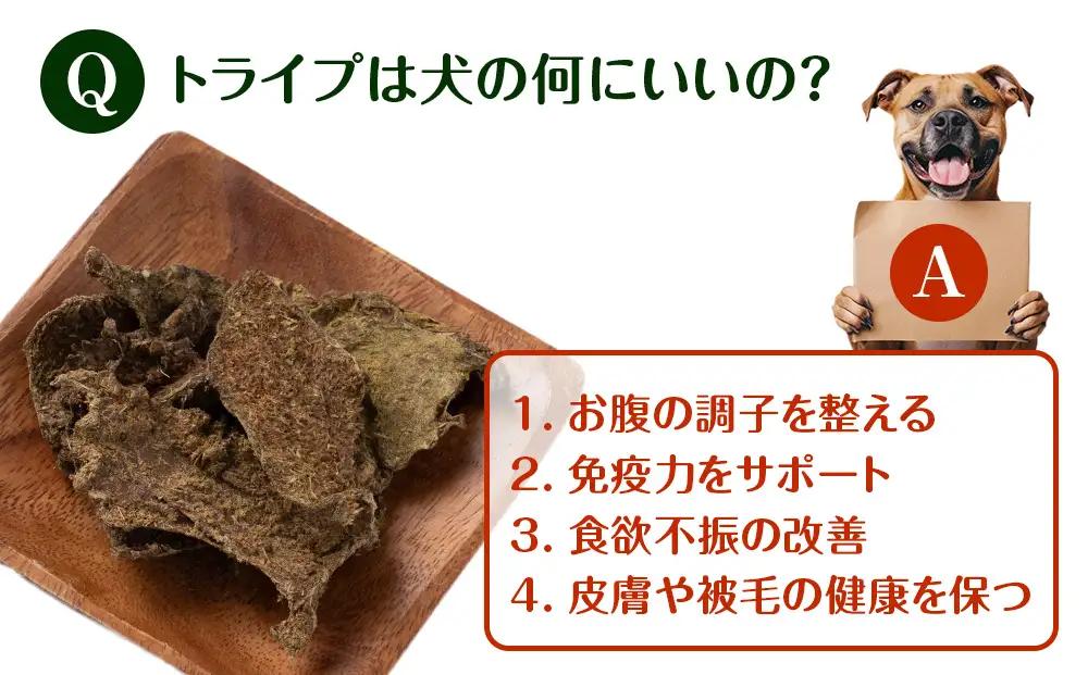 乾燥ホルモントライプ 20g×2袋