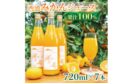 
果汁 100％ みかん ジュース 720ml × 7本 西浦 オレンジ 飲み物 静岡 沼津
