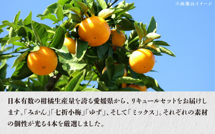 愛媛県産「果実系リキュール」呑み比べセット / 果実 レモン みかん 飲み比べ アルコール お酒 人気 おすすめ 送料無料 愛媛 四国 内子町 【愛媛県酒造協同組合】 [BKAW002]