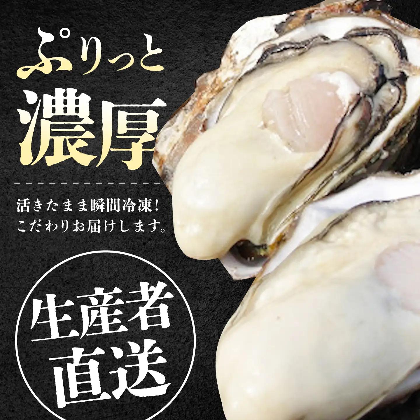 冷凍牡蠣 殻付き牡蠣16個 牡蠣[XBL004]