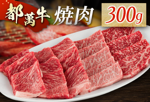 黒毛和牛＜都萬牛＞焼肉 300g【B575-2603】