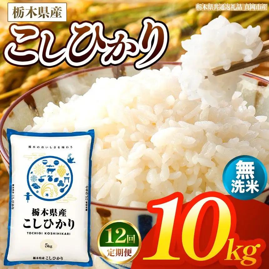 【令和8年産 新米】 【定期便12回】栃木県産 お米 こしひかり　（無洗米） 10kg 【2026年秋以降発送】 |  栃木県 矢板市 【栃木県共通返礼品 真岡市産】