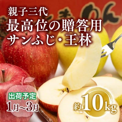 【全国ふじコンテスト最高賞受賞・1月～3月発送】年明け 親子三代最高位のサンふじ・王林約10kg