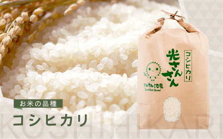 【令和7年産・新米】さんさん池見二代目が笑顔で育てたコシヒカリ 10kg ～福井県産 生産者直送！～（7分づき）【お米 こしひかり 無洗米 玄米 白米 10キロ 選べる 精米 ブランド米 ごはん ご飯