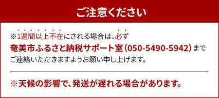 【2026年 観光雑誌付き】奄美産マンゴー 秀品・美玉2kg とろける甘さの黄金果肉 樹上完熟 A052-020
