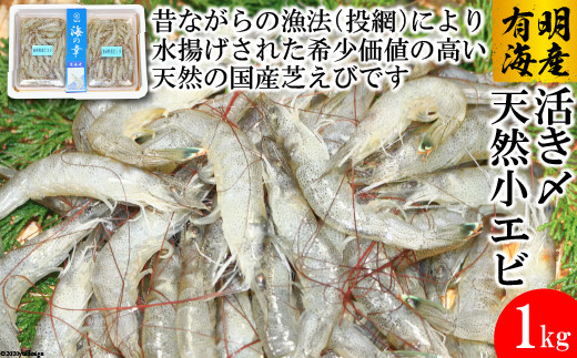 
BD190活き〆 天然小エビ 1kg（500ｇ×2パック）
