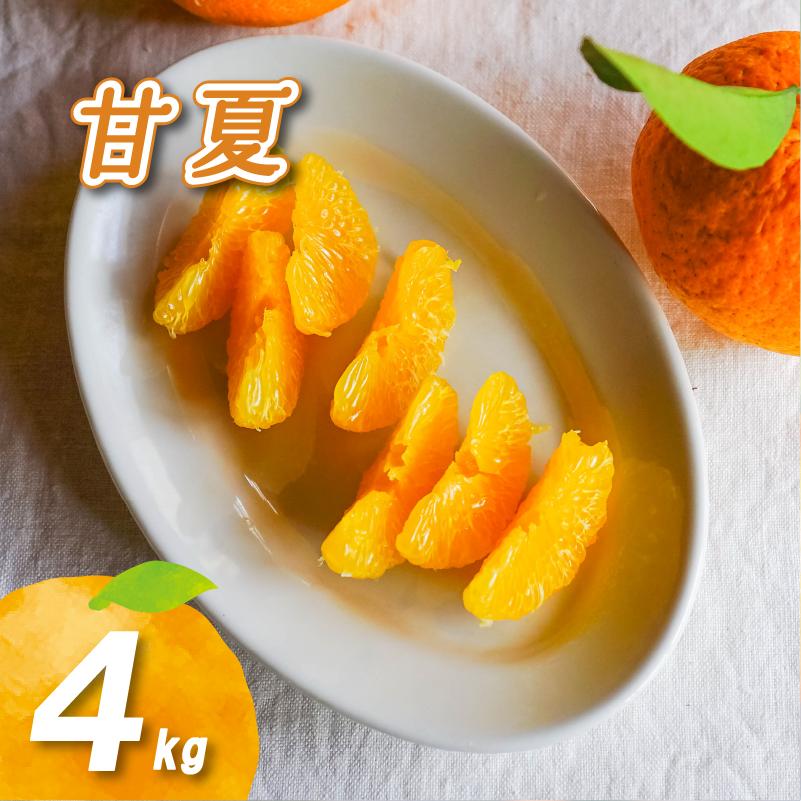 【2月下旬より発送】農薬不使用 甘夏 4kg 甘夏 4kg