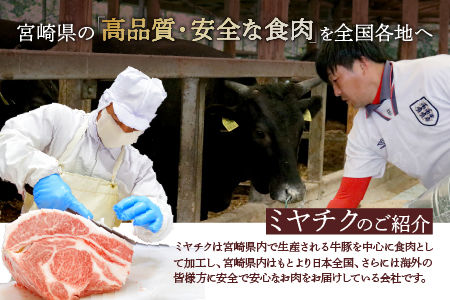 宮崎牛 ウデ すき焼き 計800ｇ 牛肉 肉 国産 しゃぶしゃぶ すきしゃぶ スライス 小分け 赤身 ブランド牛 ギフト 贈り物 九州 宮崎（01-57）