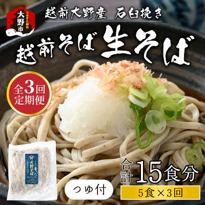 ふるさと納税 大野市 【3ヶ月定期便】越前大野産 石臼挽き 越前そば 生そば5食 × 3回 計15食(つゆ付)