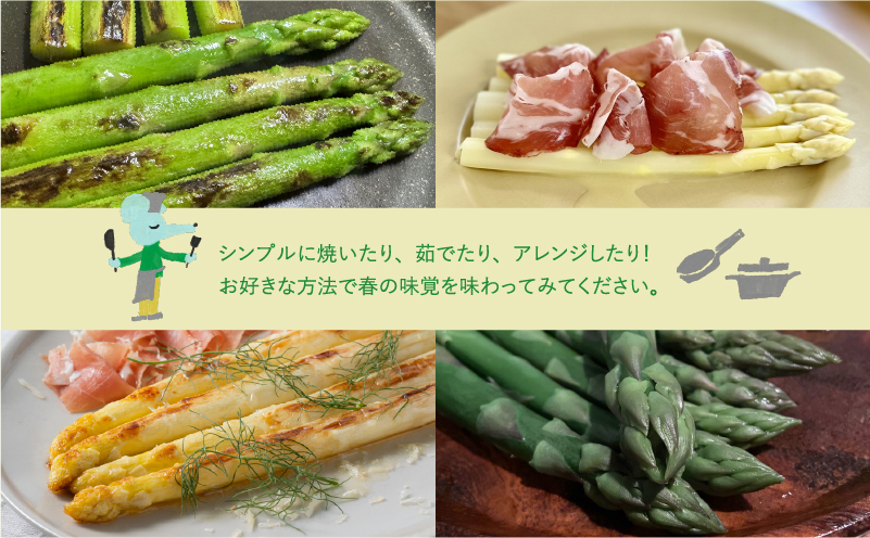【  2026年 発送 】 先行予約 北海道 上富良野産 ホワイト ＆ グリーン アスパラ 2L サイズ 800g アスパラガス ホワイト グリーン アスパラ 上富良野町 令和7年発送 野菜 やさい 