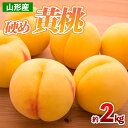 【ふるさと納税】山形産 硬め 黄桃 約2kg(4～9玉) 【令和7年産先行予約】FS24-707