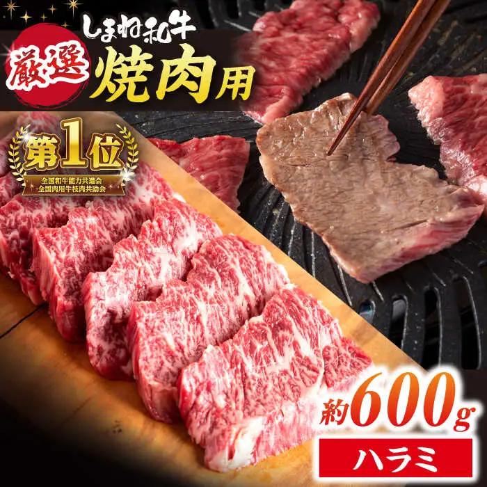 【スピード配送】ハラミ 600g (200g×3パック)  小分け焼肉 熟成 牛肉 ハラミ [ALEF008]