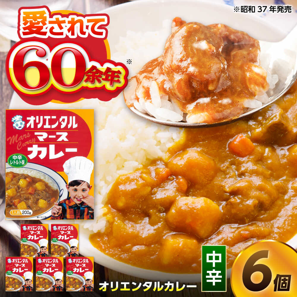 【ふるさと納税】ご当地カレー 中辛 6個（200g×6食）オリエンタル マースカレー レトルトカレー 常温保存 保存食 / 愛知県稲沢市 / オリエンタル[BMAM003]