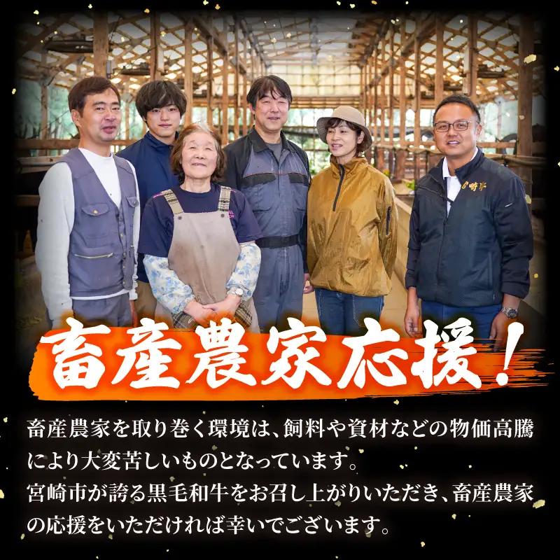 牛肉 ステーキ 牛肉 [宮崎牛 ロース 500g 畜産農家応援!]
