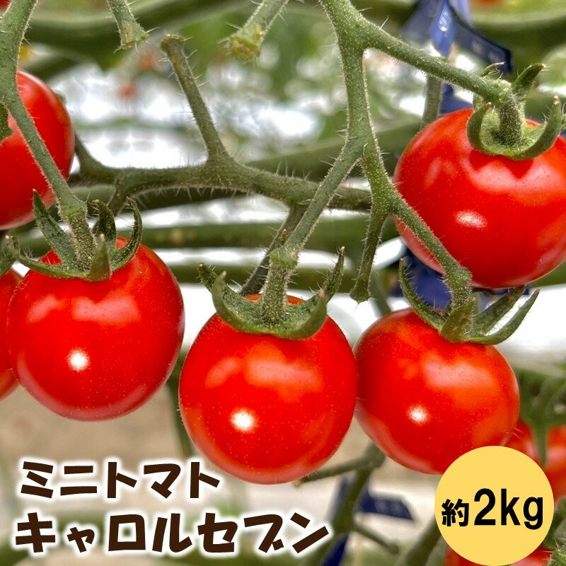 【ふるさと納税】ミニトマト（キャロルセブン）2kg≪先行予約2026年12月より順次発送予定≫