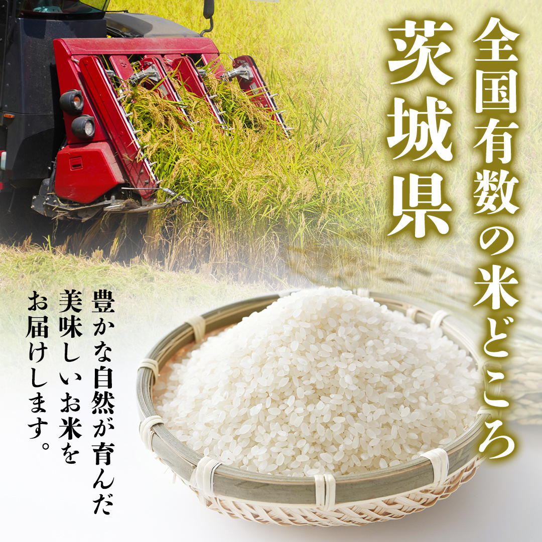 ＼ 新米先行予約 ／【10月下期出荷】品種おまかせ 15kg 茨城県つくばみらい市産 精米 こしひかり コシヒカリ あきたこまち ひとめぼれ ふくまる ゆめひたち ミルキークイーン にじのきらめき 米