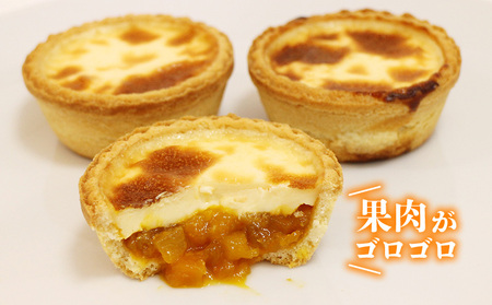 マンゴーチーズタルト　1箱(5個セット) おきぽた チーズタルト マンゴー スイーツ 専門店 OKIPOTA 洋菓子 焼き菓子 タルト生地 果肉 贅沢 高級 人気 おすすめ お土産 ギフト プレゼント