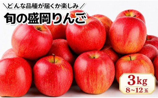 【先行予約】旬の盛岡りんご 詰め合わせ 品種おまかせ 約3kg 8～12玉 9月下旬発送開始 盛岡りんご 林檎 リンゴ 果物 フルーツ 旬の果物 季節の果物 国産 産地直送 くだもの お取り寄せ デザート 特産品 名産品 ご当地 朝食 おやつ 新鮮 甘い 果汁 シャキシャキ 農家直送 秋 おすすめ 絶品 岩手県 盛岡市 東北 岩手 盛岡 朝島観光りんご園 asashima003