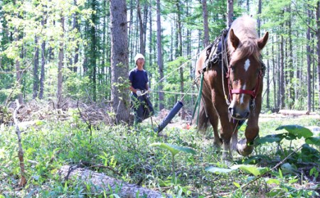 【1051】＜馬の林業＞西埜馬搬の北海道ナラ薪20kg