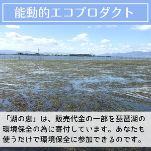 植物由来100％ 天然土壌菌入りオーガニック肥料 湖の恵 追肥用 添加タイプ 600ml×5袋