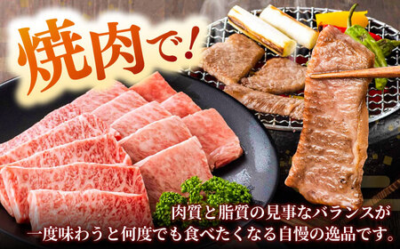 【焼肉におすすめ!】しまね和牛カルビ 500g 和牛 牛肉 焼き肉 島根県雲南市/フジキコーポーレーション株式会社[AIEA010]