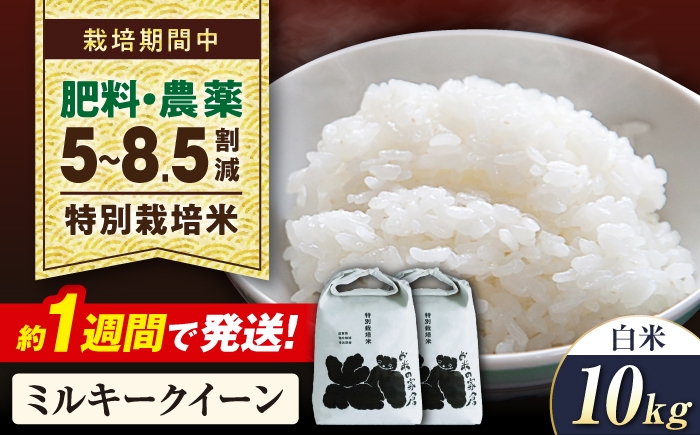 
                  【令和8年産 新米】米 ミルキークイーン  10kg（5kg× 2） 白米  特別栽培米  長浜市/株式会社お米の家倉 [AQCP022] 米 お米 白米  10kg  ミルキークイーン 特別栽培米  滋賀県産 長浜市産 こめ 精米 お米  食品 国産 炊きたて 米ギフト もちもち ブランド米  食卓 美味しい 人気 ごはん ご飯 おにぎり 炊き込みご飯 おすすめ 贈答
                