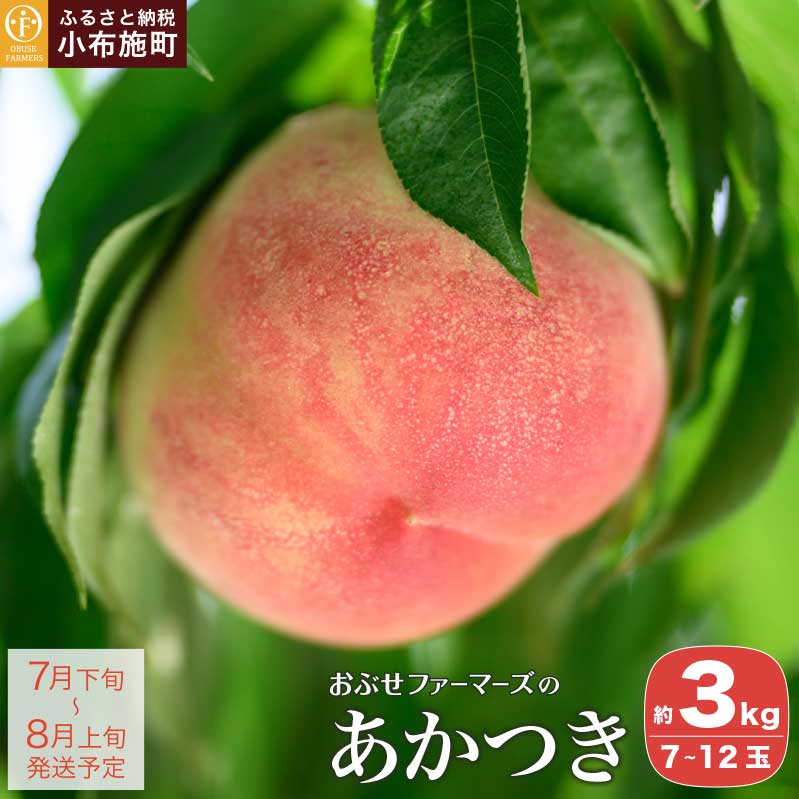 【ふるさと納税】 あかつき 約3kg 7～12玉 ［おぶせファーマーズ］ 桃 もも モモ ピーチ 先行予約 数量限定 フルーツ 果物 長野県産 信州産 クール便 冷蔵便 産地 直送 お取り寄せ 産地直送 送料無料 令和8年産【2026年7月下旬〜8月上旬発送】