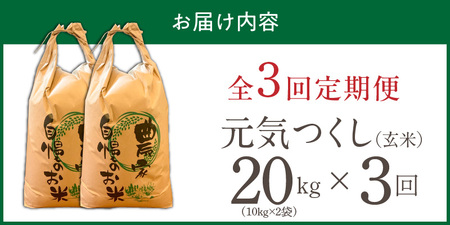 【定期便3回】【令和8年産 新米】福岡県産ブランド米元気つくし 玄米 20kg×3回 _  元気つくし 20kg お届け回数 3回 定期便 福岡県産 ブランド米 新米 福岡生まれ 品種 香り豊か ふっ