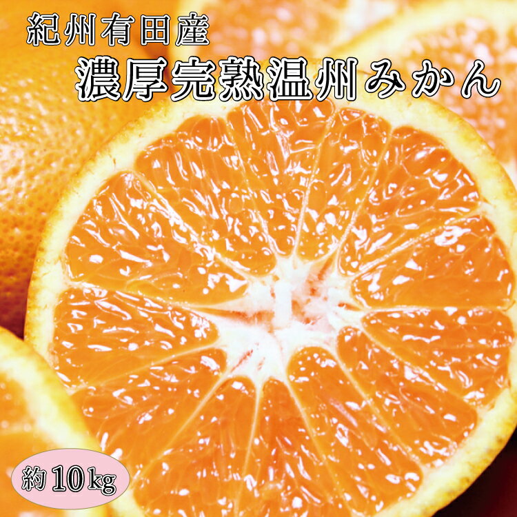【ふるさと納税】完熟有田みかん　10kg【2025年11月下旬以降発送】【先行予約】【UT11】 | 楽天ふるさと 納税 和歌山 湯浅町 支援品 返礼品 特産品 名産品 ミカン みかん 10kg 果物 くだもの フルーツ 有田みかん 産地直送 常温 食べ物 お取り寄せ 有田ミカン