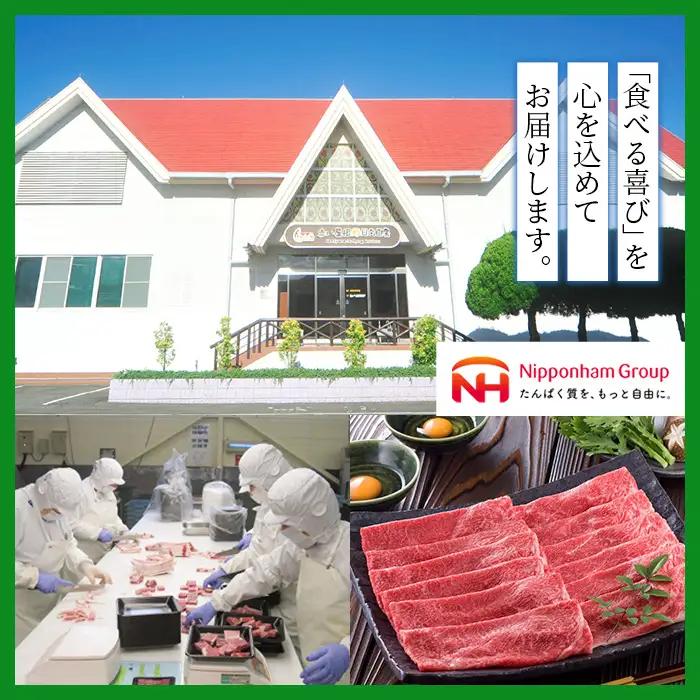 宮崎牛ロースステーキ(400g・200g×2枚)A4 A5 牛肉 精肉 肉 ブランド和牛 焼肉 お取り寄せ 国産 宮崎県【SJ002】【日本ハムマーケティング株式会社】