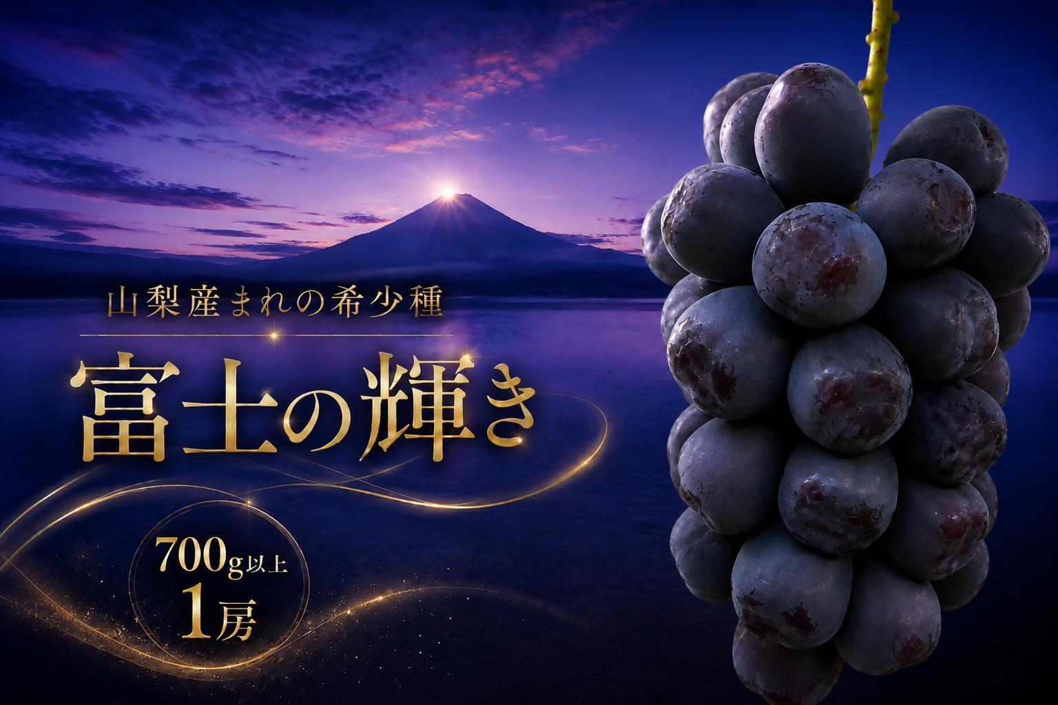 
                  富士の輝き 黒系シャインマスカット 700g以上 （1房） 山梨県産 希少 高級 黒系ぶどう 贈答 山梨県甲州市 産地直送【2026年発送】（ORJ）D5-805【富士の輝き 黒系シャインマスカット ぶどう 葡萄 ブドウ 令和8年発送 期間限定 山梨県産 甲州市 フルーツ 果物】
                