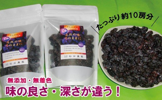 【ふるさと納税】yy-23　ニューピオーネ干しぶどうビッグセット