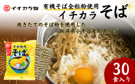 イチカラそば インスタント蕎麦 30食入 イチカラ畑 | インスタント そば