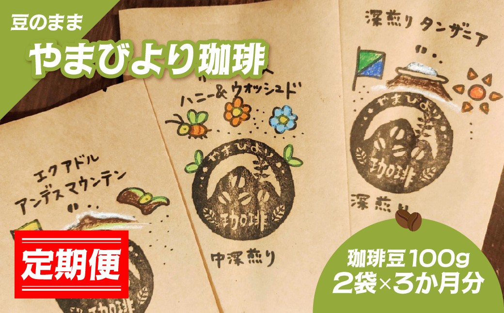 
                  【定期便】【豆のまま】やまびより珈琲【珈琲豆100g 2袋×3か月分】 HNNAF008
                