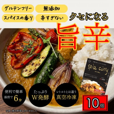 発酵スパイスカレー10個 ★白山麓のW発酵とスパイス5種  クセになる旨辛 グルテンフリー＆無添加【配送不可地域：離島】