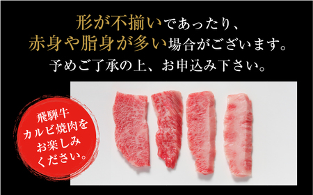 訳あり 飛騨牛 焼肉 切り落とし 1kg 冷凍真空パック 飛騨高山ミート | 肉 お肉 切落し 不揃い 焼肉 焼き肉 やきにく 黒毛和牛 和牛 人気 おすすめ 牛肉 ギフト お取り寄せ 飛騨高山ミート
