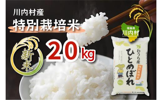 【ふるさと納税】令和7年度 かわうち産 特別栽培米 ひとめぼれ 20kg