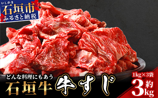 石垣牛・牛すじ ３kg （1kg×3） 冷凍便【 沖縄県 石垣市 牛肉 お肉 牛スジ 牛筋 煮込み おでん カレー 】 SI-086