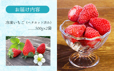 冷凍いちご （ヘタカット済み 500gの小分け袋 x 2個入り）【果物 フルーツ 紅ほっぺ あきひめ】