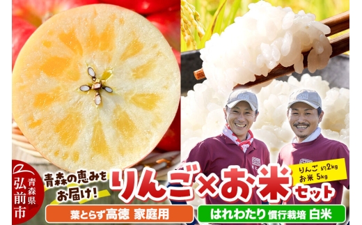 【26年11月中旬発送】りんご×お米セット はれわたり 慣行栽培【白米】5kg ＆葉とらず 高徳【家庭用】約2kg 先行受付 青森県産 權之丞 [先行予約 お米 東北 精米 青森 青森県産 白米 米 ブランド米 青森 りんご リンゴ 林檎]