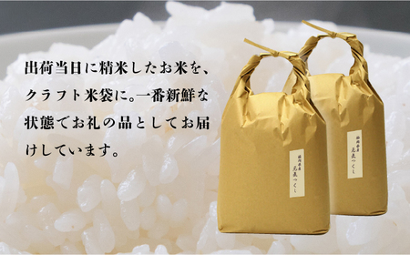 米 【特A】「元気つくし」 5kg×2袋 [10kg] [白米] [ABDF030] 米 白米 精米 ご飯 ごはん こめ コメ 