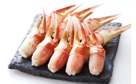 【本ズワイガニ】二本爪300g　【 ずわいがに むき身 ずわい蟹 ズワイ蟹 ずわい ズワイ 蟹 カニ カニ爪 蟹爪 カニ爪肉 ズワイガニ ボイル 冷凍 】