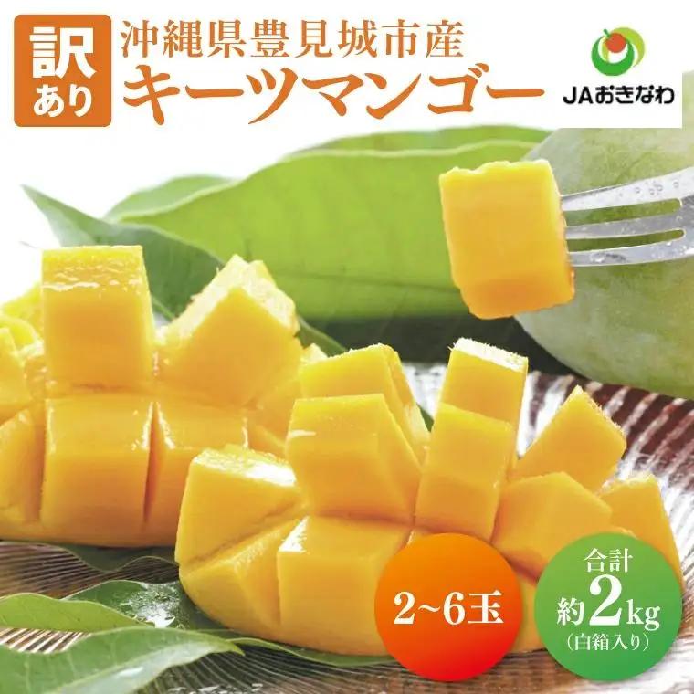 【ふるなびWEEK対象】【訳あり】菜々色畑のキーツマンゴー 2～6玉(約2kg)【白箱】ご家庭用