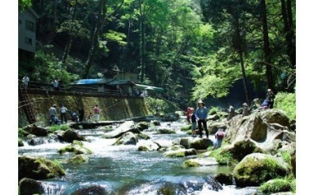 B-057　日本の滝100選「浄蓮の滝」を望む釣り体験!!あまご釣りに挑戦!!渓流釣り体験チケット（安心編）（2名様）