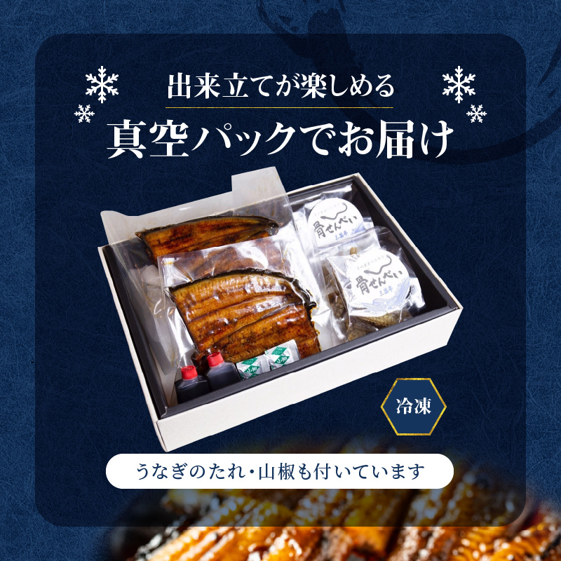 創業１４０年！！老舗うなぎ屋のうなぎのかば焼き2尾と骨せんべいセット - うなぎ かば焼き 100g 2枚 骨せんべい 30g 2袋 セット 真空パック シーフード 加工品 老舗 土用 丑の日-100