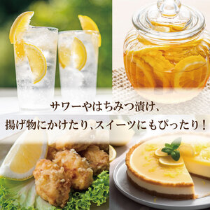 【2025年10月順次発送】 レモン 1.2kg (10～12個)  レモン れもん 檸檬 柑橘 フルーツ 果物 完熟 国産 新鮮 果汁 レモンサワー  お酒 ハイボール ジュース  酎ハイ ケーキ 